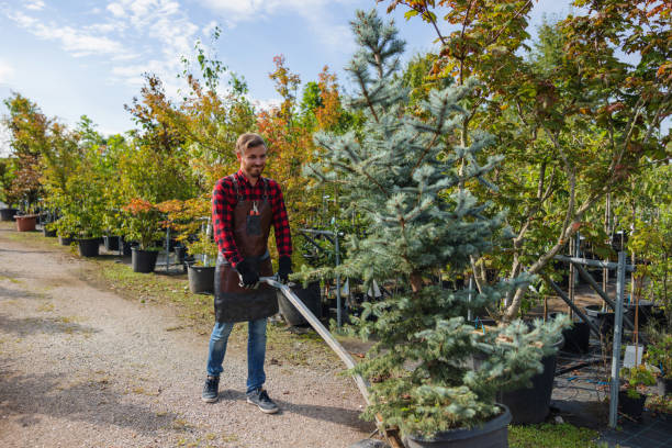 Best Hazardous Tree Removal  in Claremore, OK